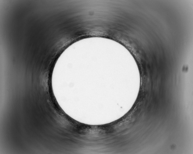 X0000103940201200810101423