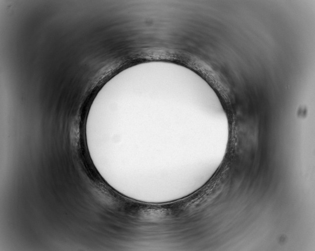 X0000103940202200810101423