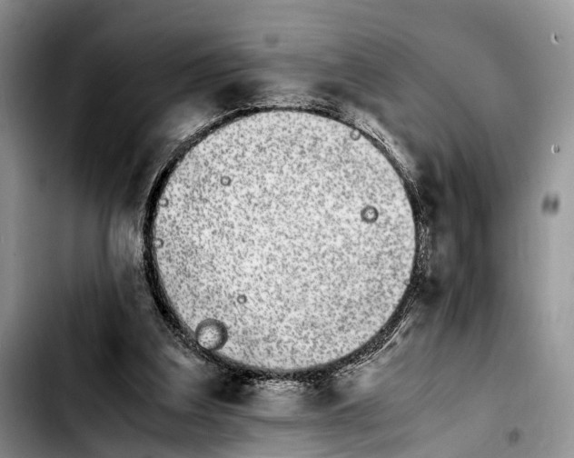 X0000103940203200810101423