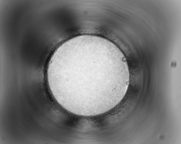 X0000103940207200810101423