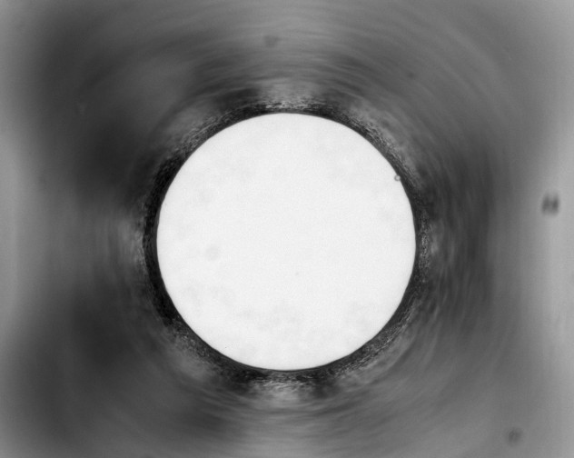 X0000103940209200810101423