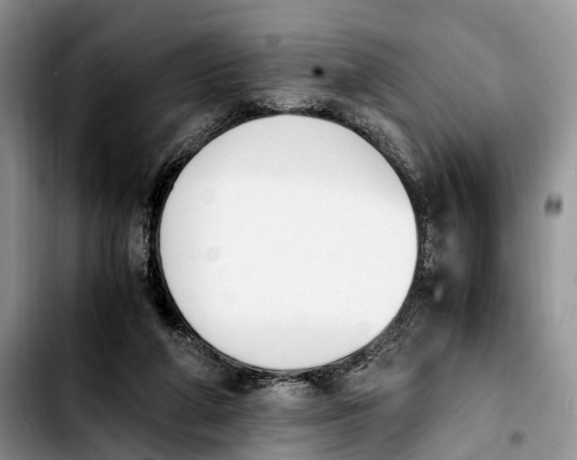 X0000103940210200810101423