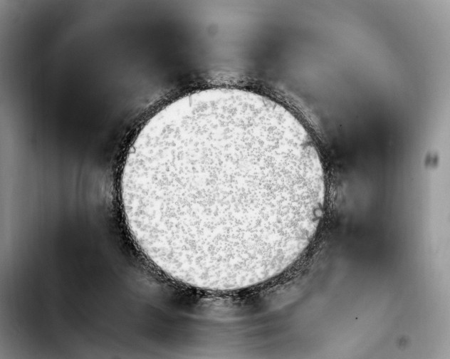 X0000103940211200810101423