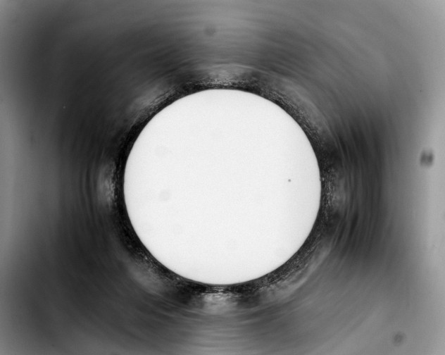 X0000103940216200810101423