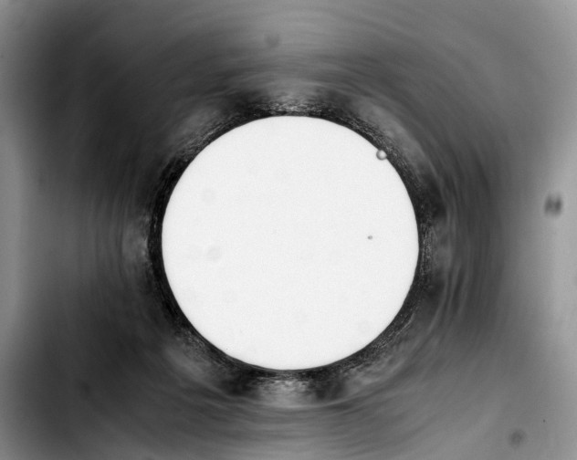 X0000103940217200810101423