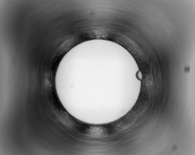 X0000103940218200810101423