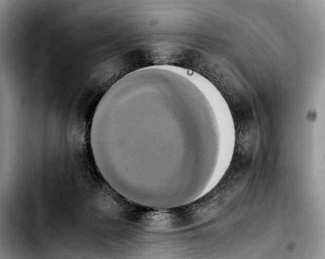 X0000103940219200810101423