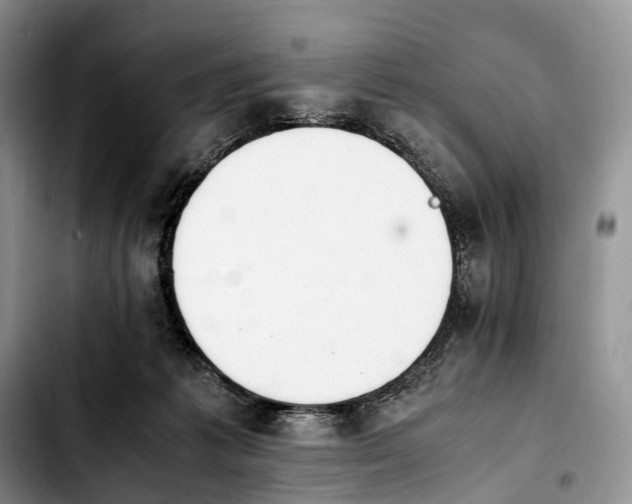 X0000103940221200810101423