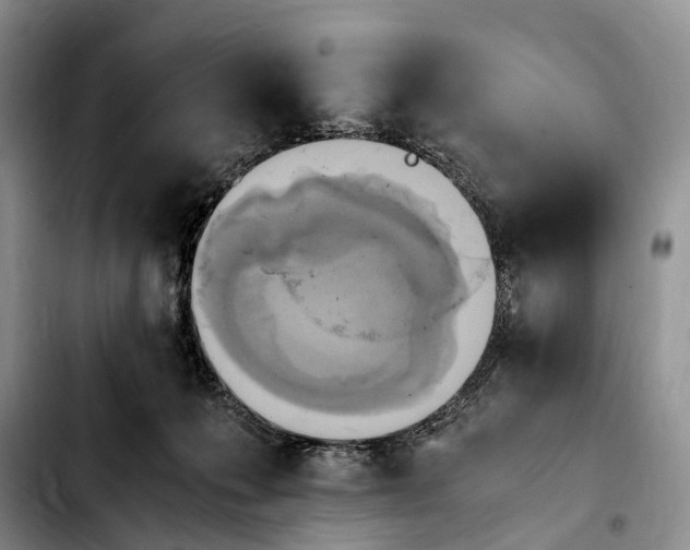 X0000103940223200810101423