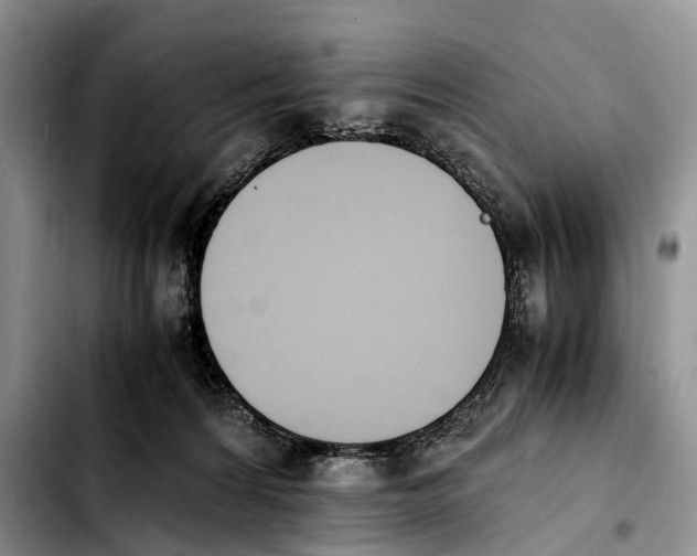 X0000103940224200810101423