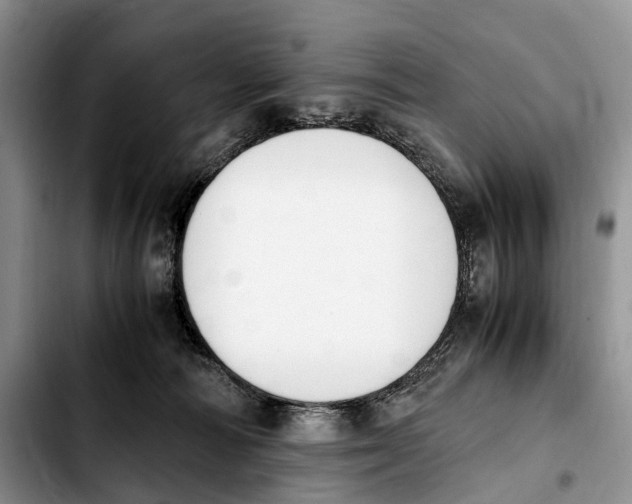 X0000103940226200810101423