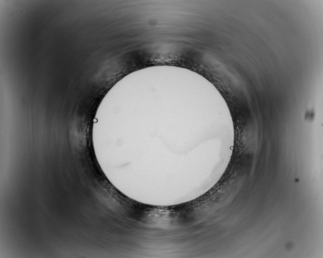 X0000103940227200810101423