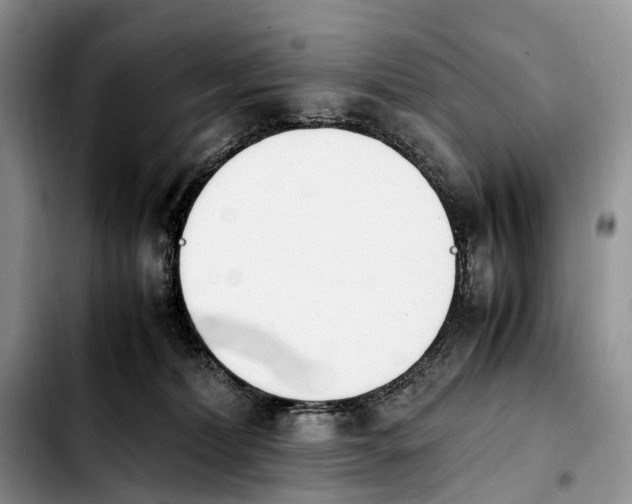 X0000103940228200810101423