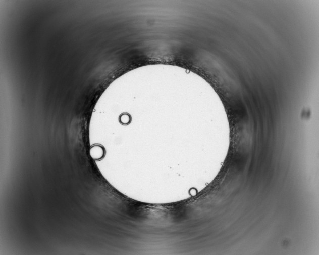 X0000103940229200810101423