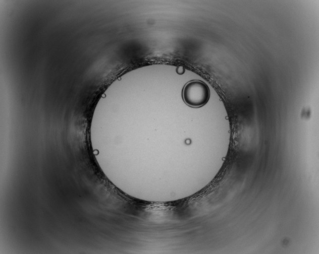 X0000103940231200810101423