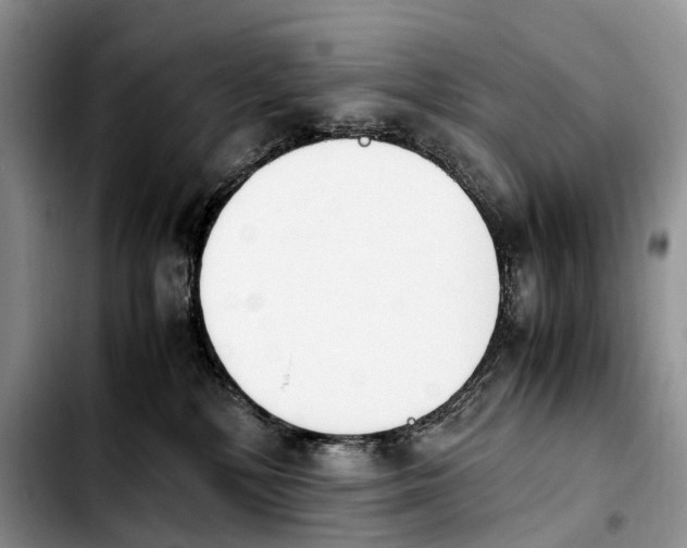 X0000103940232200810101423