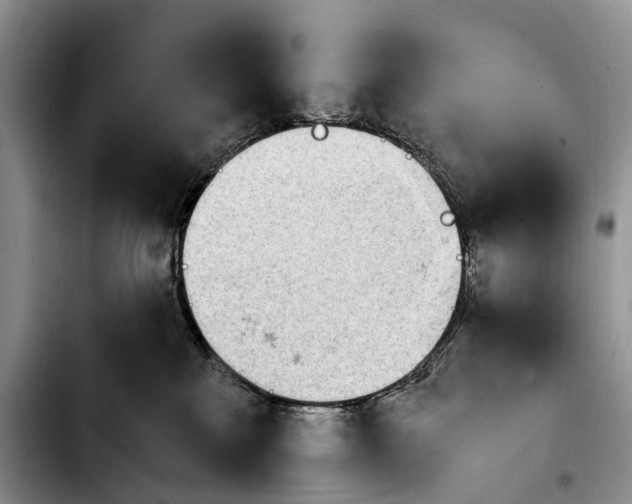 X0000103940233200810101423