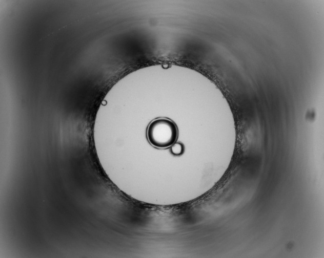 X0000103940235200810101423