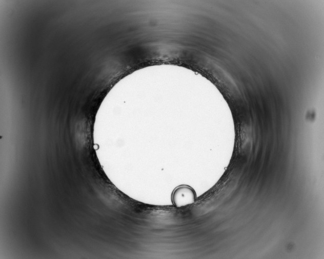 X0000103940236200810101423