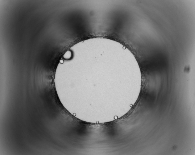 X0000103940237200810101423