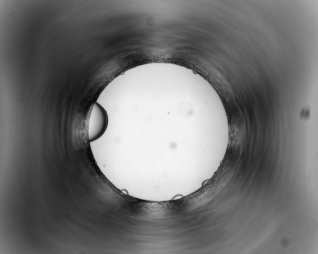 X0000103940238200810101423