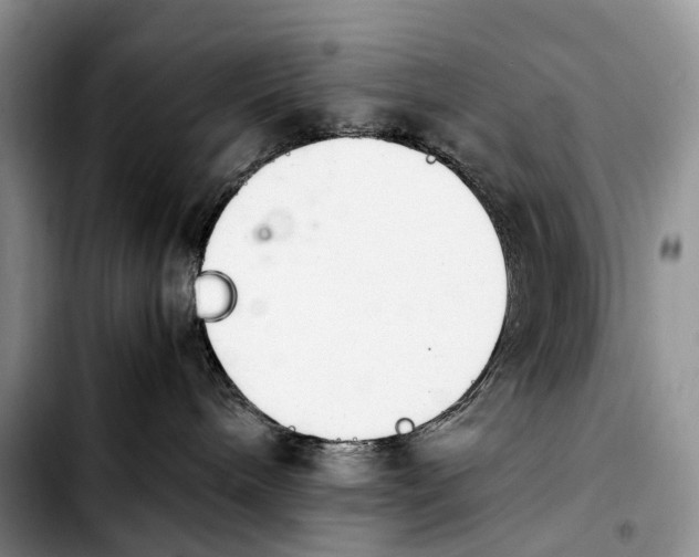 X0000103940240200810101423