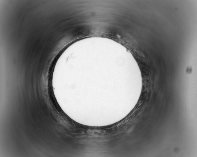 X0000103940242200810101422