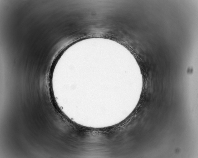 X0000103940244200810101422