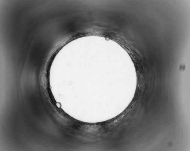 X0000103940245200810101422