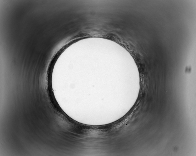 X0000103940246200810101422