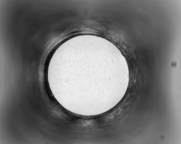 X0000103940247200810101422