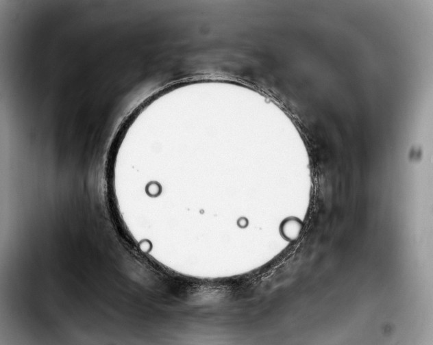 X0000103940248200810101422