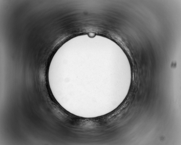 X0000103940249200810101422