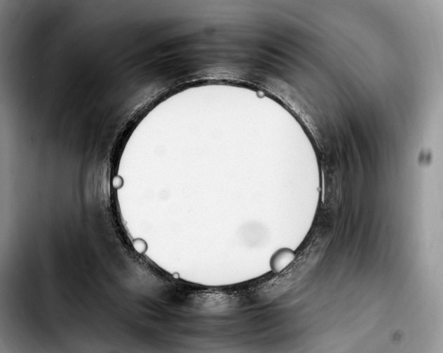 X0000103940253200810101422