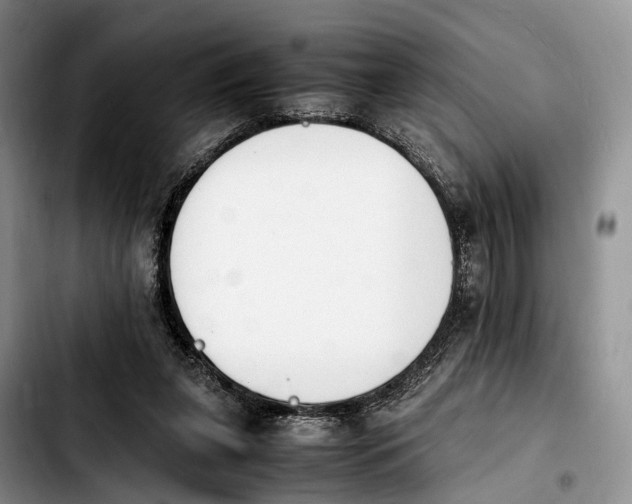 X0000103940255200810101422