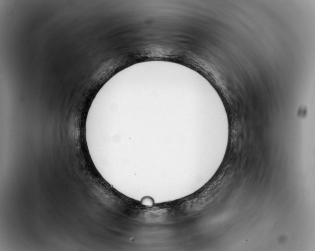 X0000103940257200810101422