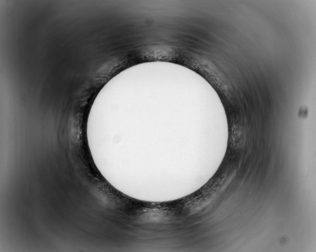 X0000103940259200810101422