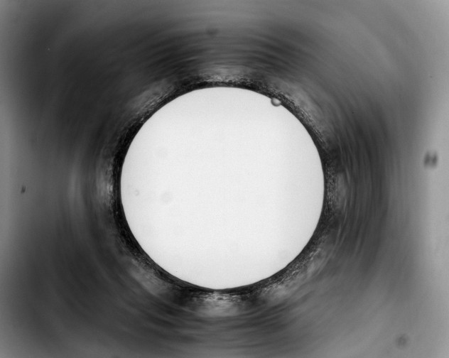 X0000103940261200810101422