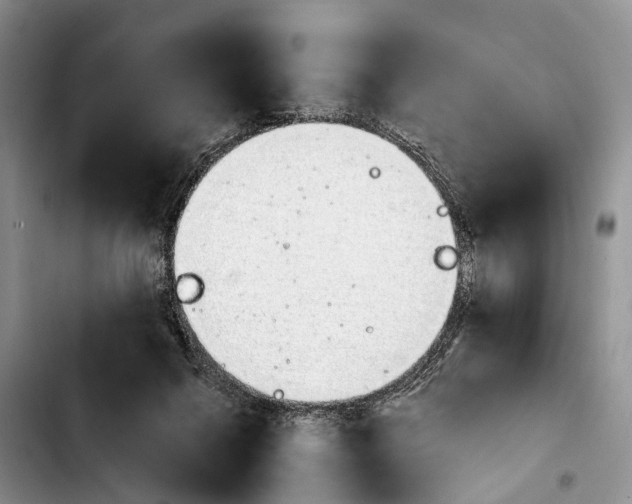 X0000103940264200810101422