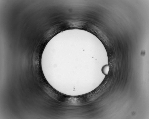 X0000103940265200810101422