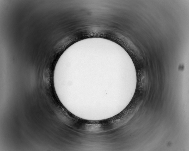 X0000103940266200810101422