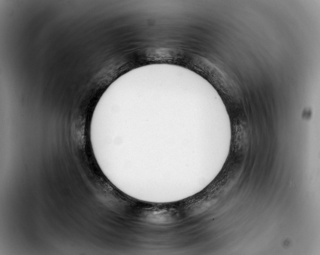 X0000103940267200810101422