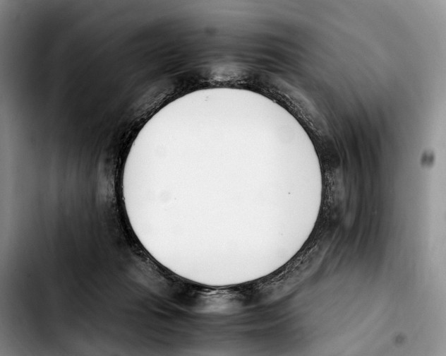 X0000103940269200810101422