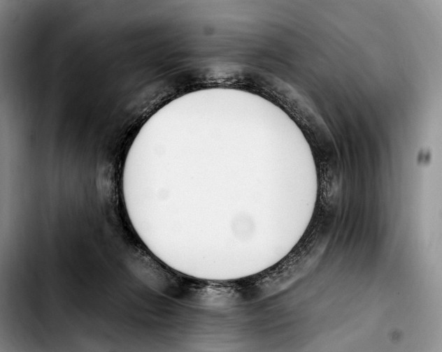 X0000103940270200810101422