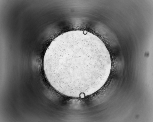 X0000103940272200810101423