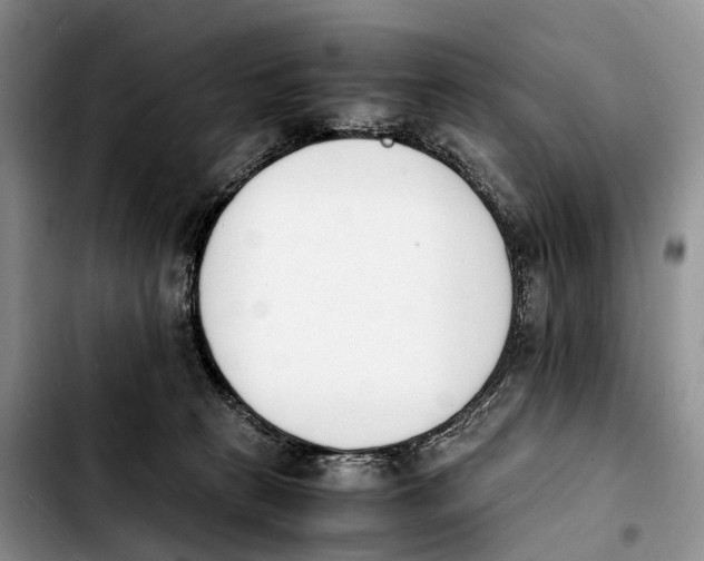 X0000103940273200810101423