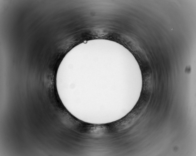 X0000103940274200810101423