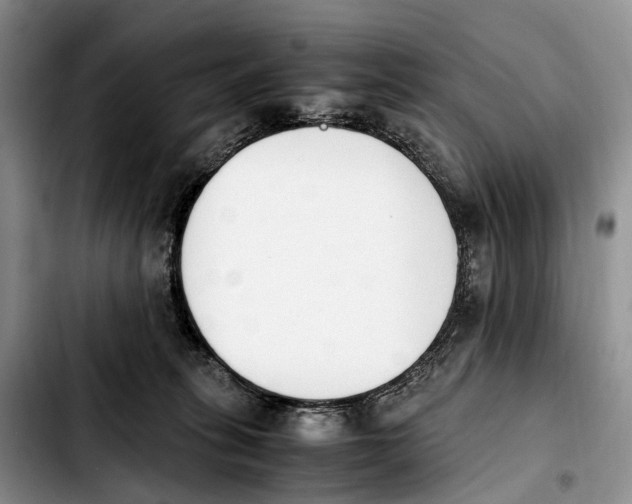 X0000103940275200810101423