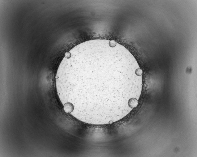 X0000103940276200810101423