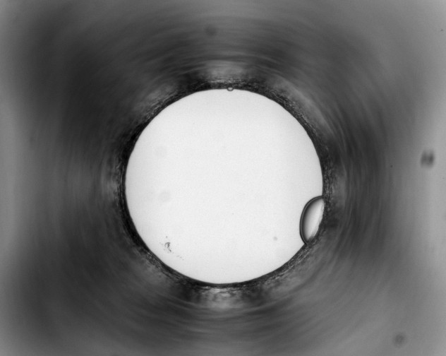 X0000103940277200810101423